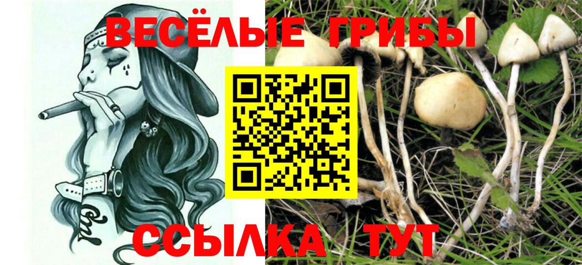 Галлюциногенные грибы MAGIC MUSHROOMS  Вход с VPN  магазин продажи   Самара 