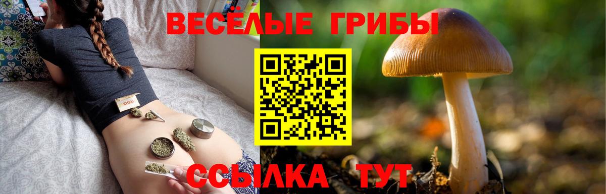Галлюциногенные грибы MAGIC MUSHROOMS Самара